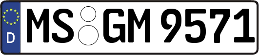 MS-GM9571