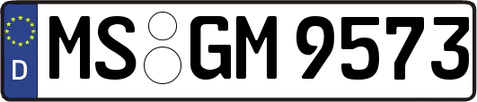 MS-GM9573