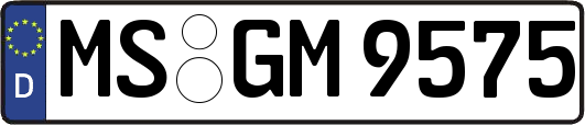MS-GM9575
