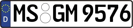 MS-GM9576
