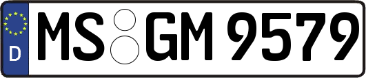 MS-GM9579