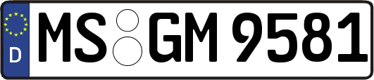 MS-GM9581