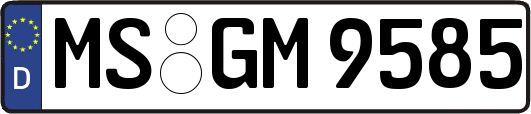 MS-GM9585