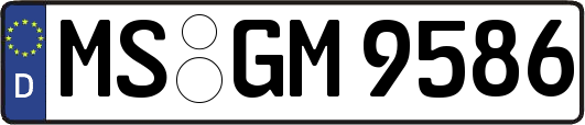 MS-GM9586