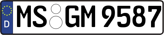 MS-GM9587