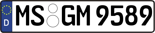 MS-GM9589