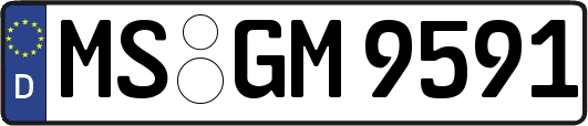 MS-GM9591