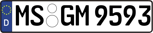 MS-GM9593