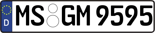 MS-GM9595