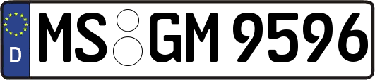 MS-GM9596