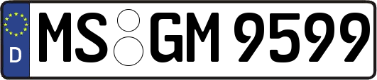 MS-GM9599
