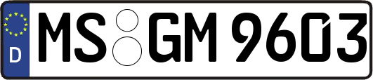 MS-GM9603