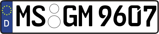 MS-GM9607