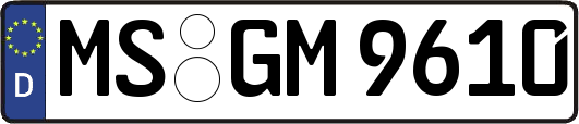 MS-GM9610