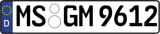 MS-GM9612