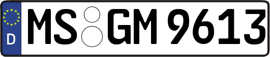 MS-GM9613