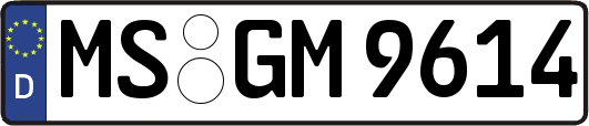 MS-GM9614