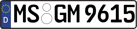 MS-GM9615