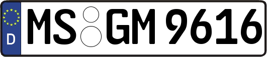 MS-GM9616