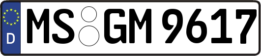 MS-GM9617