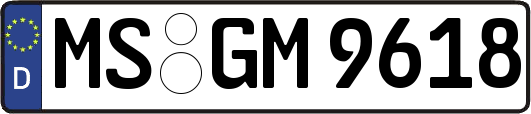 MS-GM9618