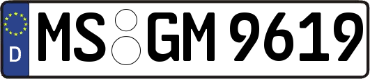 MS-GM9619