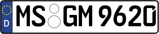 MS-GM9620