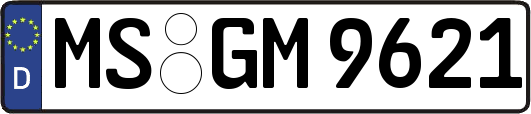 MS-GM9621