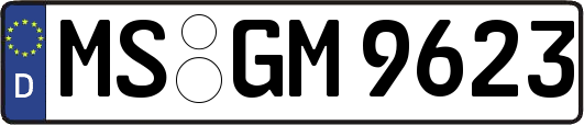 MS-GM9623