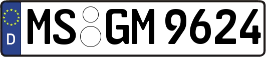 MS-GM9624