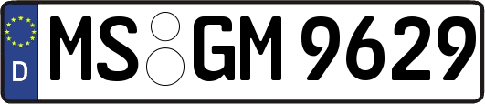 MS-GM9629
