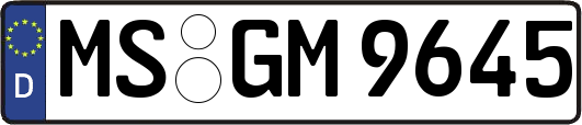 MS-GM9645