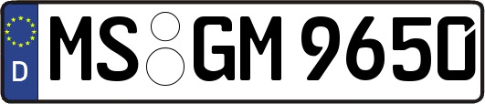 MS-GM9650