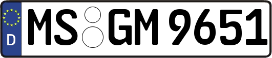 MS-GM9651