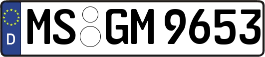 MS-GM9653