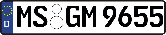MS-GM9655