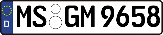 MS-GM9658