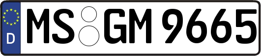 MS-GM9665