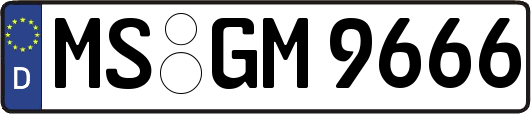 MS-GM9666