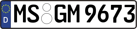 MS-GM9673