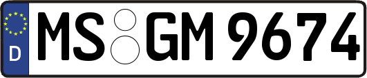 MS-GM9674
