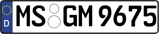 MS-GM9675