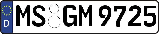 MS-GM9725