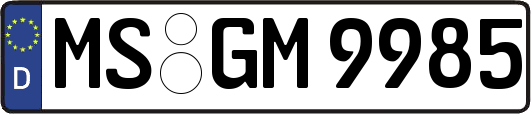 MS-GM9985
