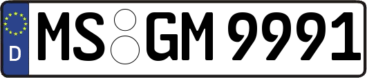MS-GM9991