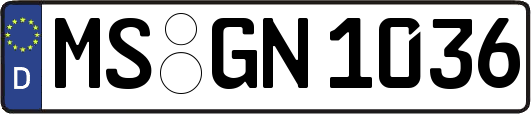 MS-GN1036