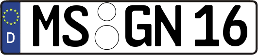 MS-GN16