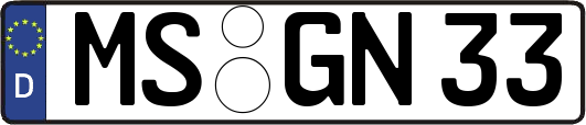 MS-GN33