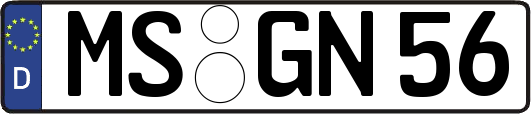 MS-GN56