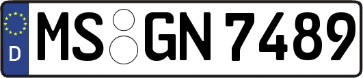 MS-GN7489